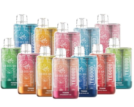 1734785287958 美國 EBCREATE TE 6000口 一次性拋棄式主機