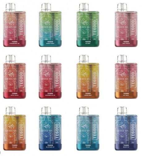 1734785313193 美國 EBCREATE TE 6000口 一次性拋棄式主機