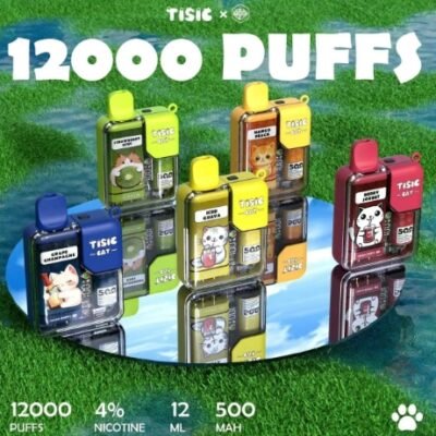 1735128341347 TISIC 貓咪電子菸 12000口 一性次主機