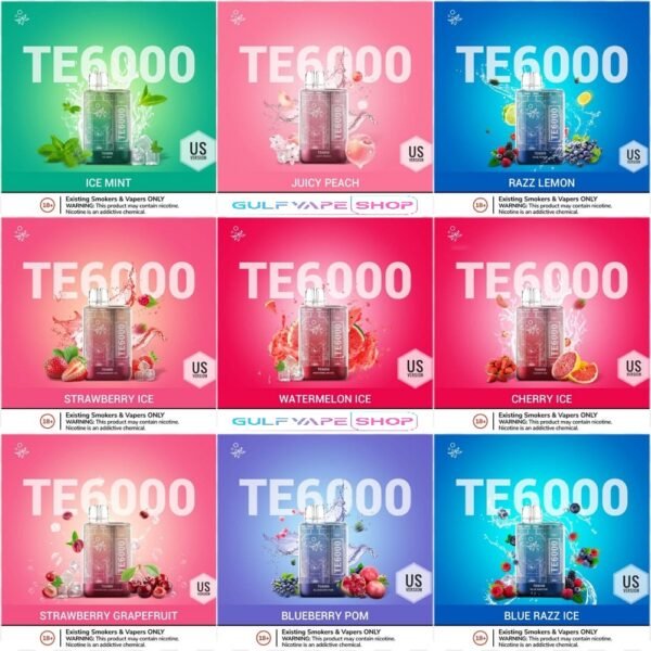 ELFBAR TE6000 US VERSION 美國 EBCREATE TE 6000口 一次性拋棄式主機