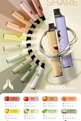 KISS MIX&SHARE 凱斯 6500口 一次性主機