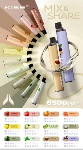 1739013182226 KISS MIX&SHARE 凱斯 6500口 一次性主機